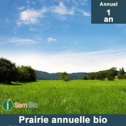 Semence biologique Mélange Prairie Annuelle bio
