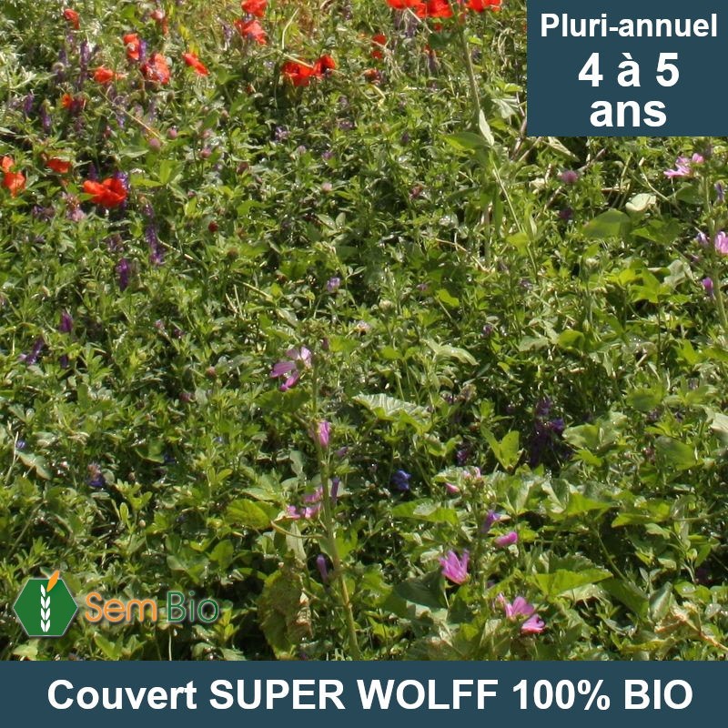 Semence Biologique Mélange SUPER WOLFF 100% BIO spécial viticulture
