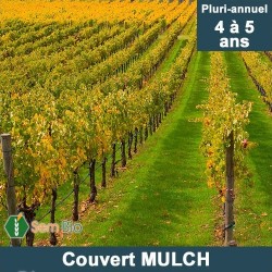 Semence Biologique Mélange Couvert MULCH 100% bio spécial viticulture