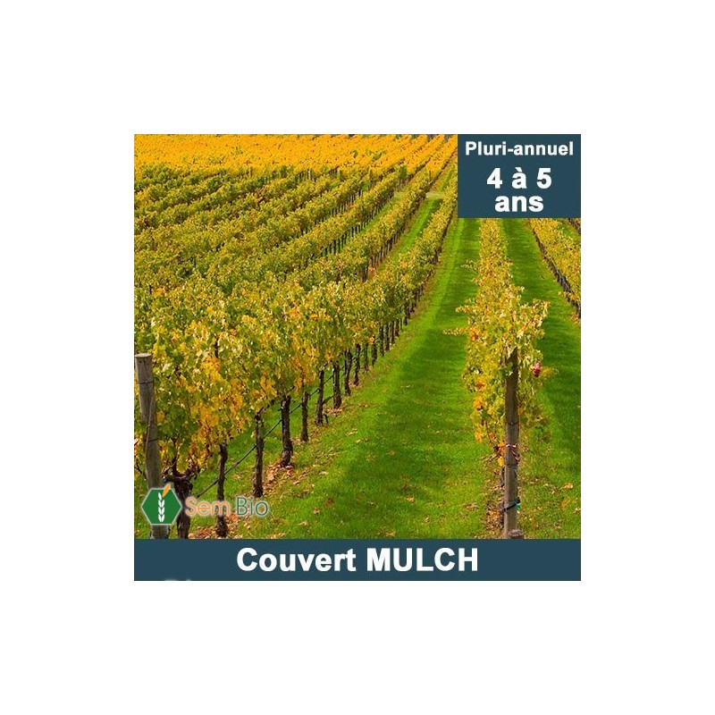 Semence Biologique Mélange Couvert MULCH 100% bio spécial viticulture