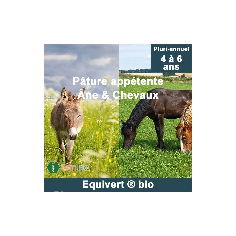 Semence biologique Prairie Pature ÉQUIVERT® spécial chevaux