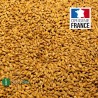 ORGE en Grain BIO - Produit en France