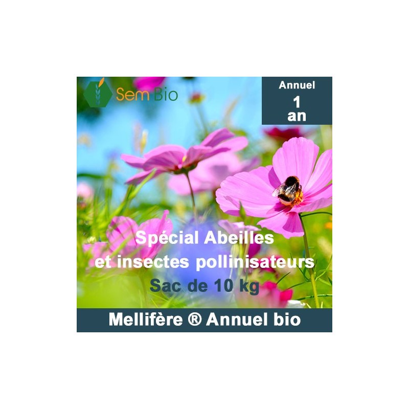 Semence biologique MELLIFÈRE® spécial abeilles et pollinisateurs