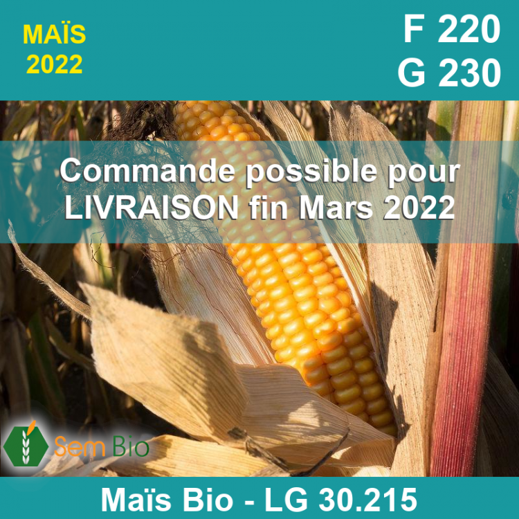 Semence biologique Maïs LG 30.125
