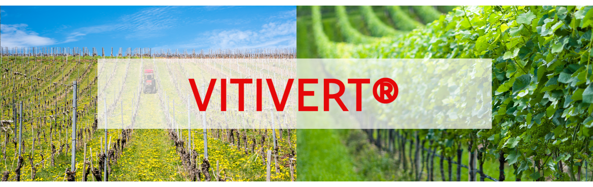 Semences bio pour Couverts viticoles VITIVERT®  - Au meilleur prix | Sembio.fr