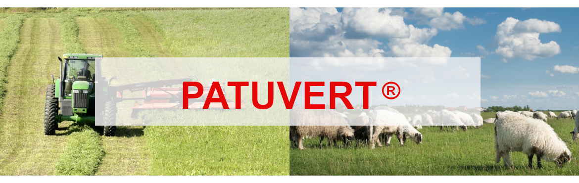 Nos  mélanges fourrages, pâtures et prairies PATUVERT®  - Au meilleur prix | Sembio.fr