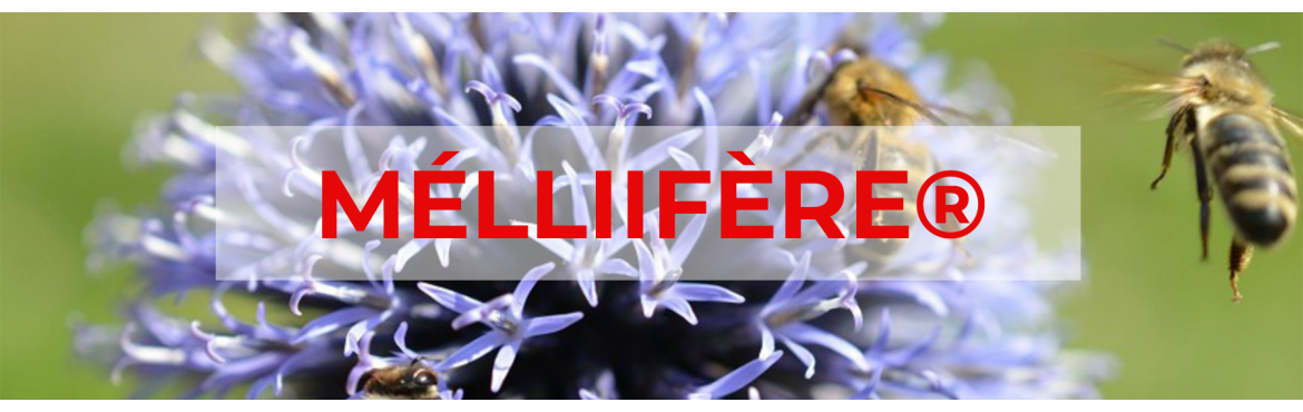 Mélanges Mellifères biologiques MELLIFERE® - Au meilleur prix | Sembio.fr