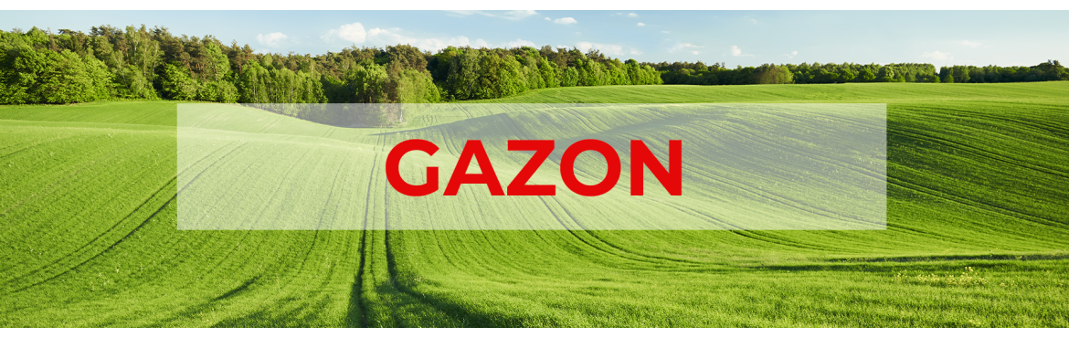 Mélange pour pelouse 100% Bio GAZON - Au meilleur prix | Sembio.fr