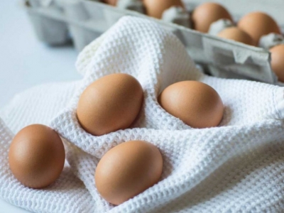 La Bretagne, première région productrice d’œuf bio
