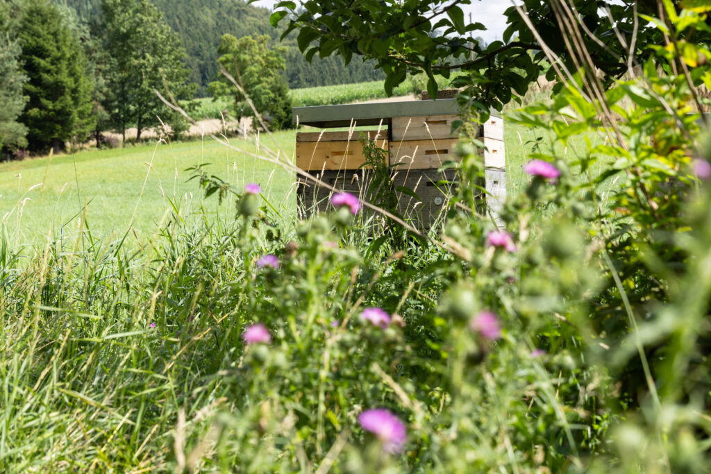 FSAB – Fond de Sauvegarde des ABeilles