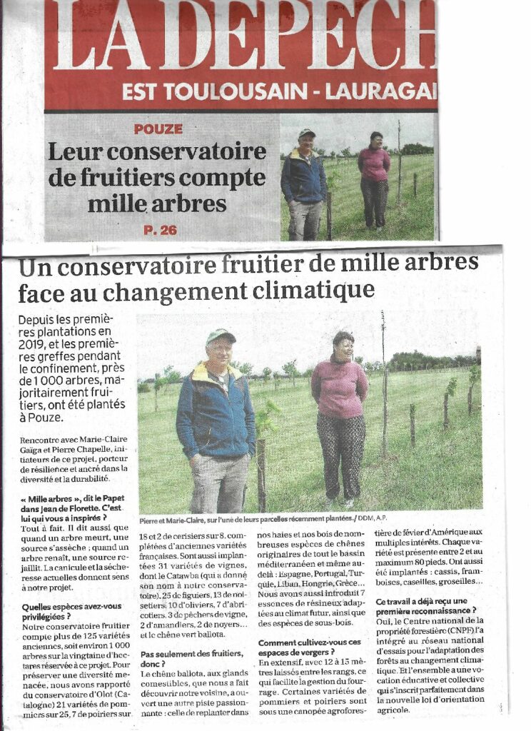 La presse en parle !