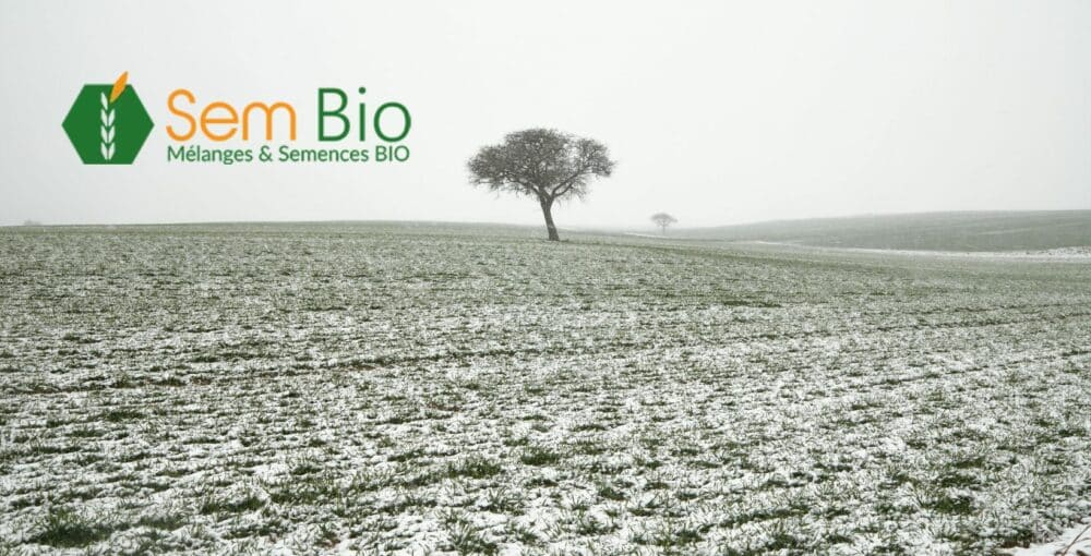 Semences bio pour l’hiver