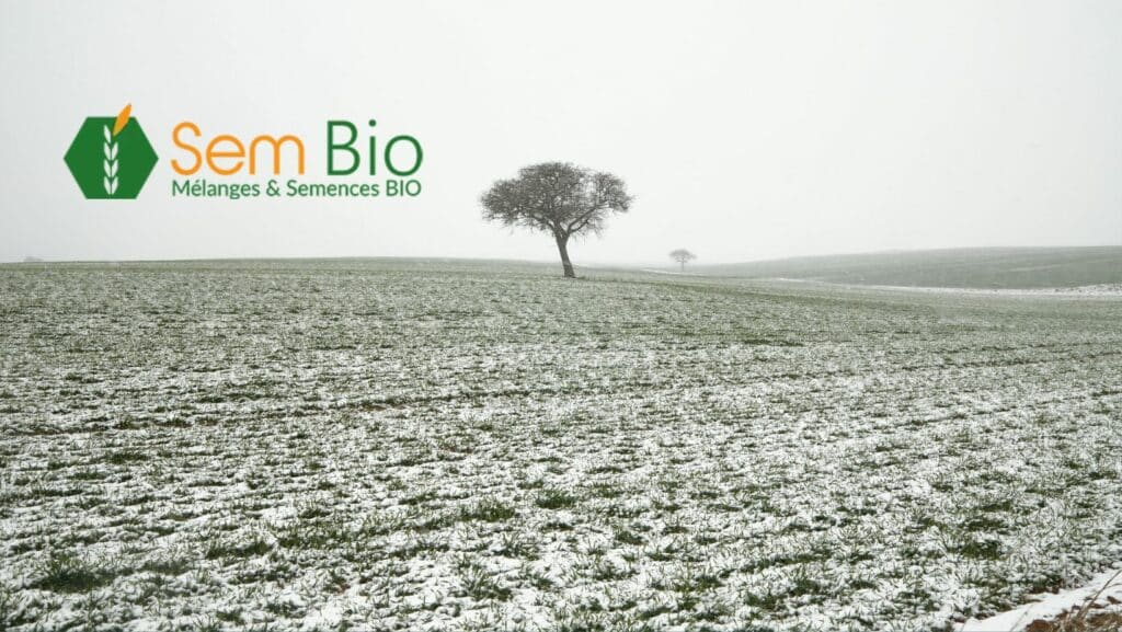 Mélanges bio pour couvrir et reposer le sol en hiver