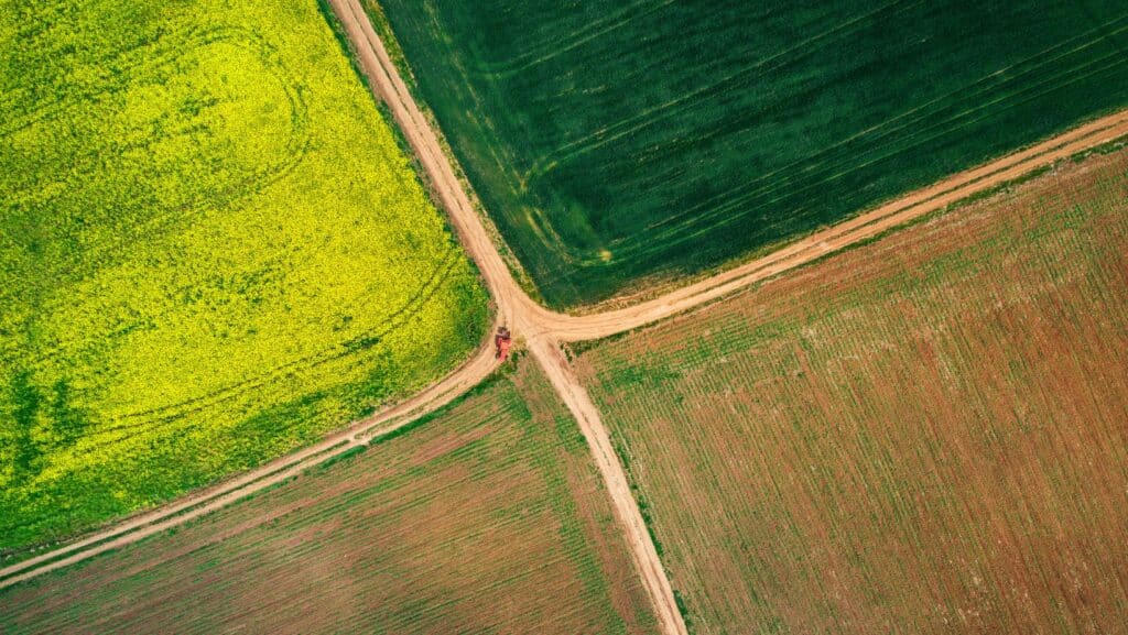 Repos du sol : quelles semences ou mélanges bio choisir pour un repos efficace ?