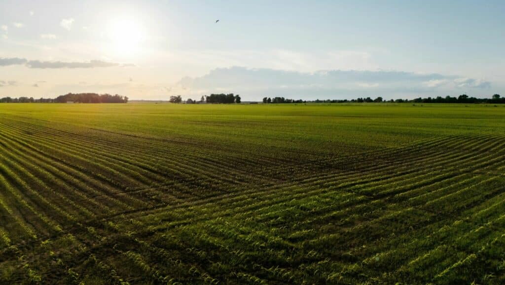 Comment la rotation des cultures permet d’accroitre la fertilité de son sol ?