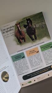 Retrouvez-nous dans le programme officiel du Jumping de La Baule